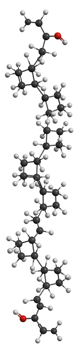 diagram emphasizing carbon’s four covalent bonds enabling proteins, lipids, sugars and DNA that support complex organisms