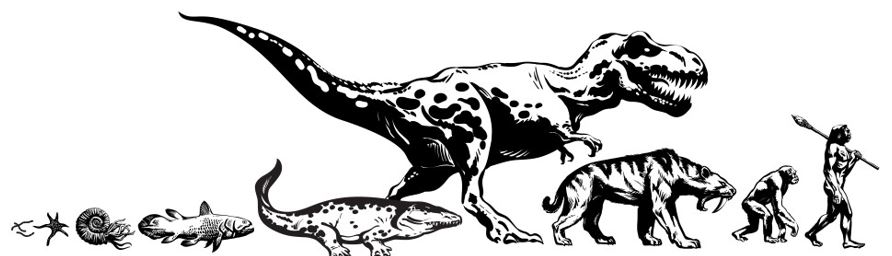 Phylogenetic tree of life showing branching descent with modification across species