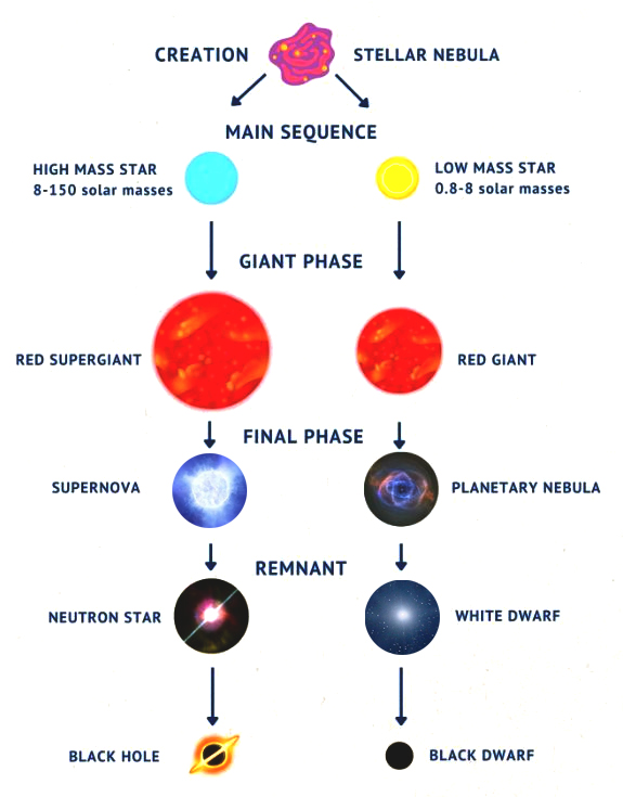 diagram showing the life cycle of stars, from formation to supernova.