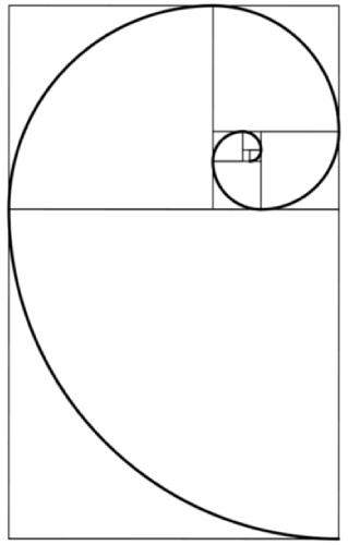 Natural Fibonacci sequence spiral pattern seen in shells, flowers, and galaxies